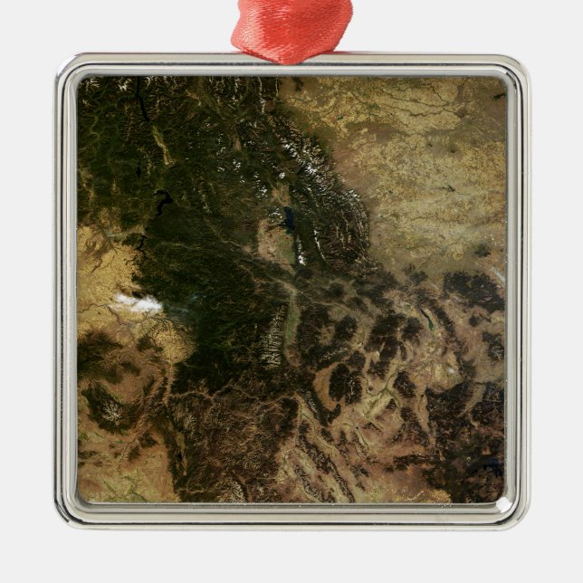 A relatively clear day metal tree decoration (Front)