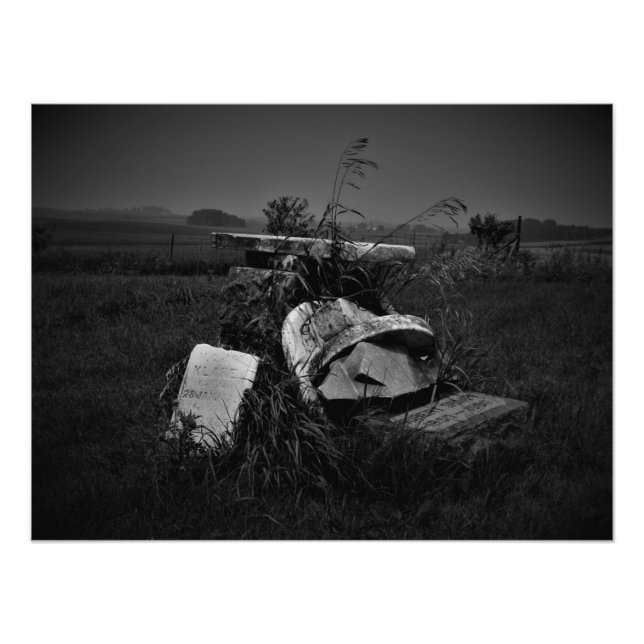 "A Restful Gathering" Photo Print (Front)