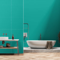 A rich teal green area highlighted by a contrastin