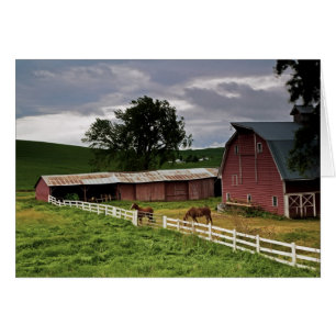 A ride through the farm country of Palouse 4
