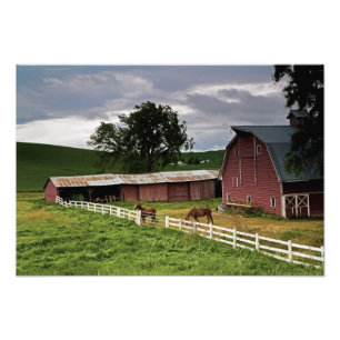 A ride through the farm country of Palouse 4 Photo Print