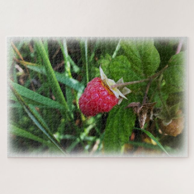 A ripe raspberry jigsaw puzzle (Horizontal)
