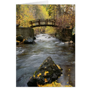 A River Running Through American Fork Canyon