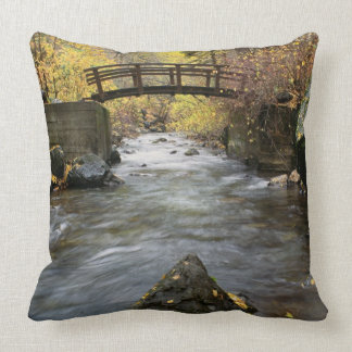 A River Running Through American Fork Canyon Cushion