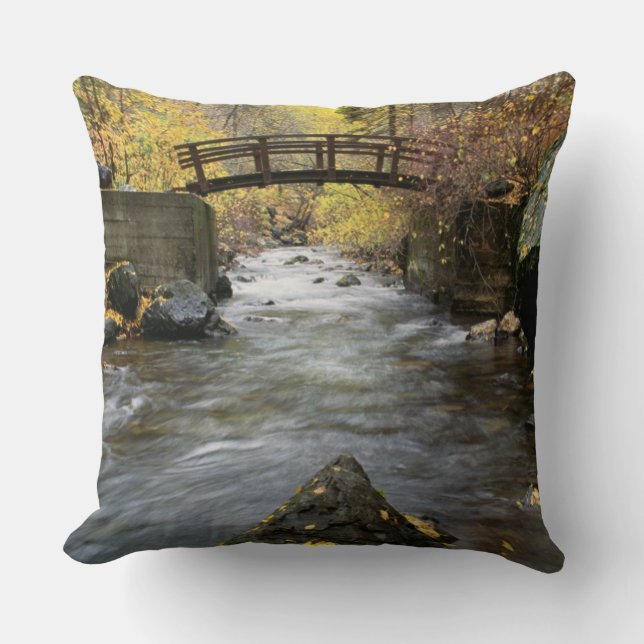 A River Running Through American Fork Canyon Cushion (Front)