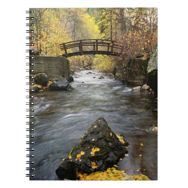 A River Running Through American Fork Canyon Spiral Notebook (Front)