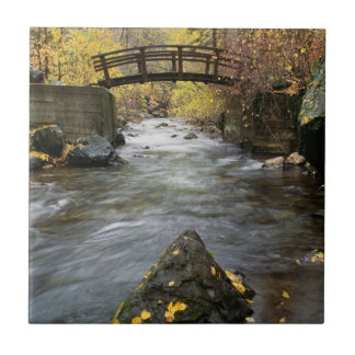 A River Running Through American Fork Canyon Tile