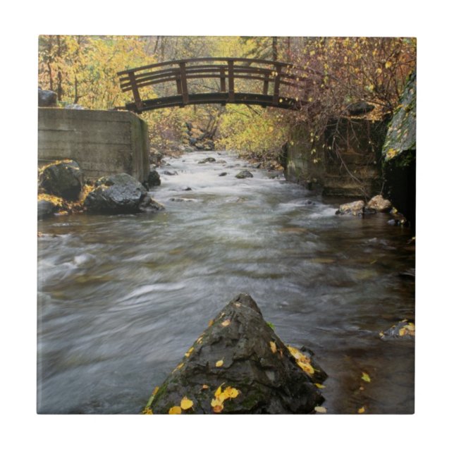 A River Running Through American Fork Canyon Tile (Front)