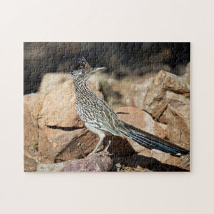 A Road runner pauses momentarily on its search Jigsaw Puzzle