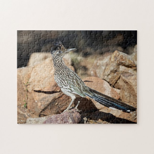 A Road runner pauses momentarily on its search Jigsaw Puzzle (Horizontal)