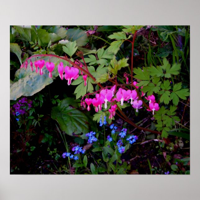 A Romantic Flower Poster (Front)