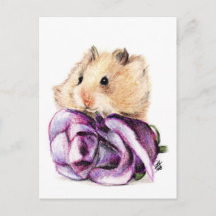 A Rose for Mama Postcards