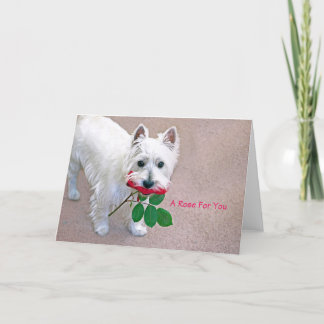 “A Rose For You” all occasion greeting card 