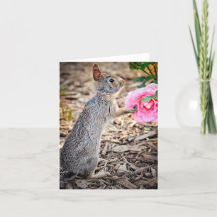 A Rose for You Note Card