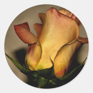 A rose for you sticker