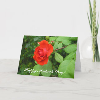 A rose, Happy Mother's Day! Card