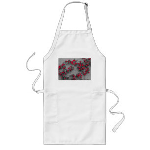 a roses climb on a brick wall on apron