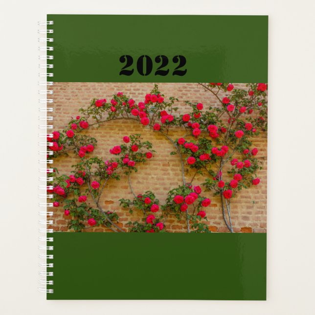a roses climb on a brick wall  on planner (Front)
