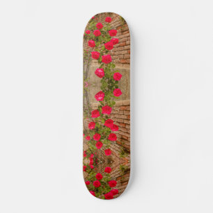 a roses climb on a brick wall on skateboard