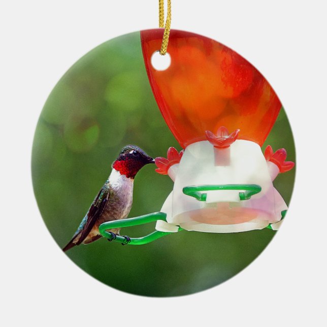 A Ruby Throated Hummingbird Ceramic Tree Decoration (Front)