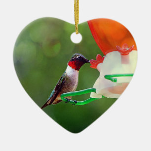 A Ruby Throated Hummingbird Ceramic Tree Decoration