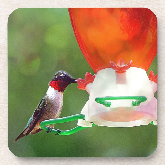 A Ruby Throated Hummingbird Coaster (Front)