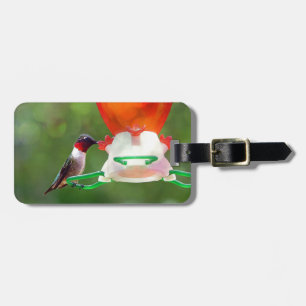 A Ruby Throated Hummingbird Luggage Tag