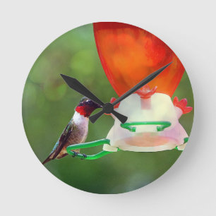 A Ruby Throated Hummingbird Round Clock