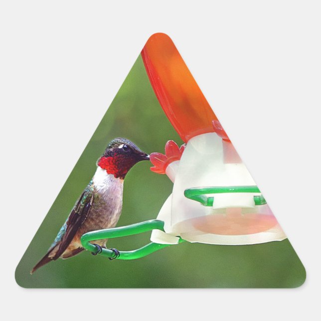 A Ruby Throated Hummingbird Triangle Sticker (Front)
