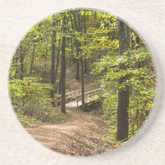A Runge Pathway Coaster (Front)