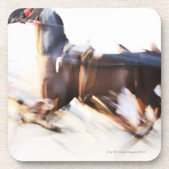 A running horse at a high speed is competing in coaster (Front)