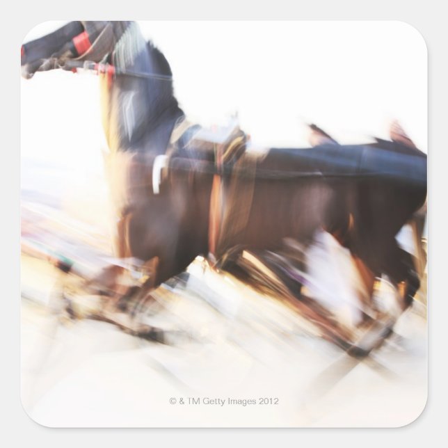 A running horse at a high speed is competing in square sticker (Front)