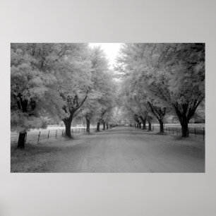 A Rural Road Poster