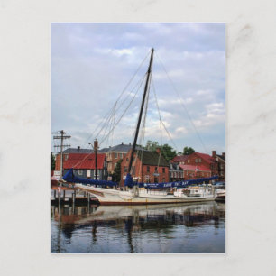 A Sailboat in Annapolis Harbour Postcard