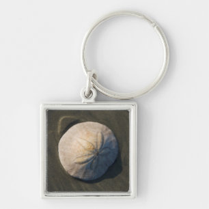 A Sand Dollar On The Beach Key Ring