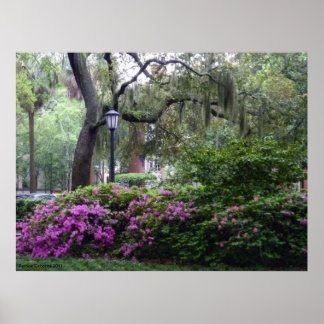 A Savannah Square in Bloom Poster