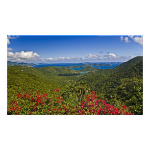 A scenic of Cruse Bay, St. John U.S Virgin Photo Print