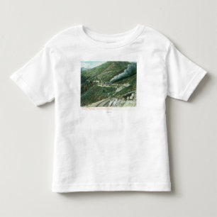 A Scenic Railway ViewMt. Tamalpais, CA Toddler T-Shirt