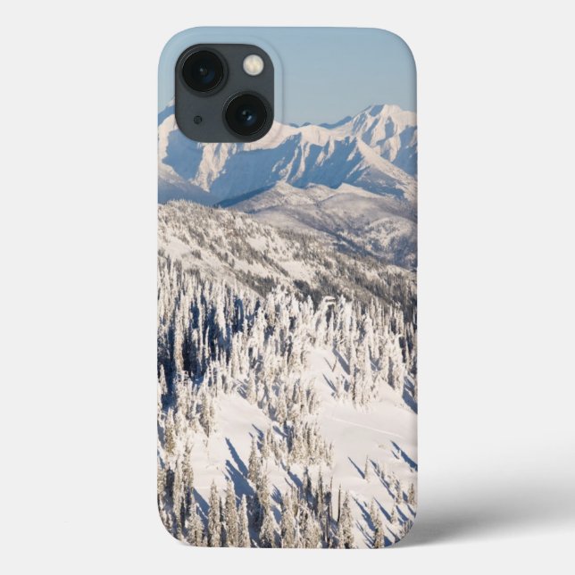 A Scenic View of Snowy Mountains and Trees. Case-Mate iPhone Case (Back)