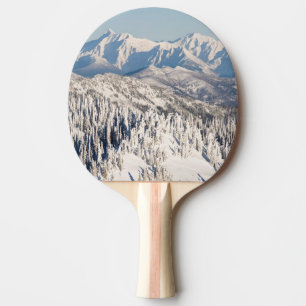 A Scenic View of Snowy Mountains and Trees. Ping Pong Paddle