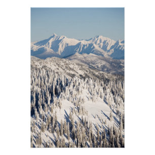 A Scenic View of Snowy Mountains and Trees. Poster