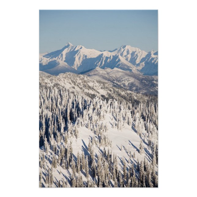 A Scenic View of Snowy Mountains and Trees. Poster (Front)