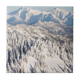 A Scenic View of Snowy Mountains and Trees. Tile