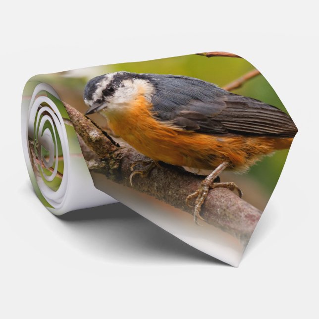 A Sceptical Red-Breasted Nuthatch Tie (Rolled)
