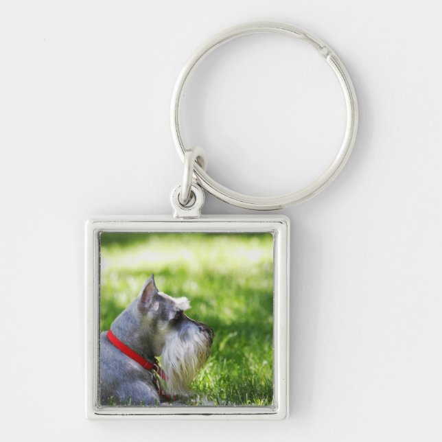 A Schnauzer laying in the grass Key Ring (Front)