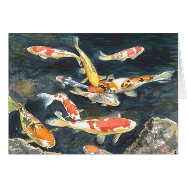 A school of Koi fish in a pond (Front Horizontal)