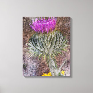 A Scottish Thistle Canvas Print