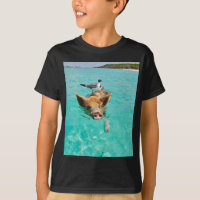 A sea gull and a pig