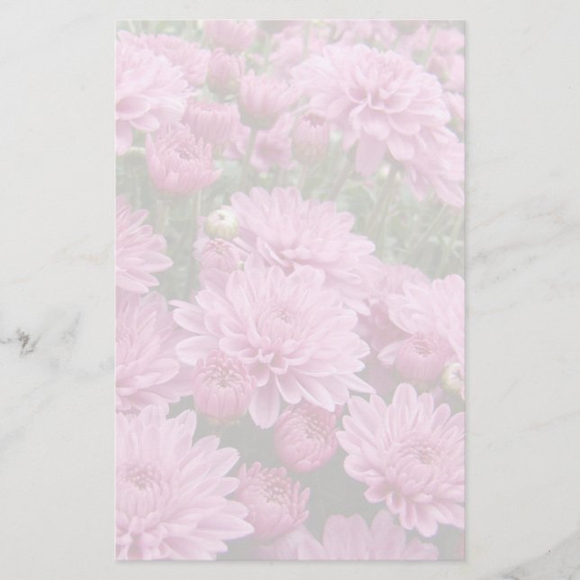 A Sea of Pink Chrysanthemums #2 Stationery (Front)