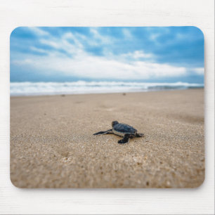 A sea turtle baby aiming at the sea mouse pad